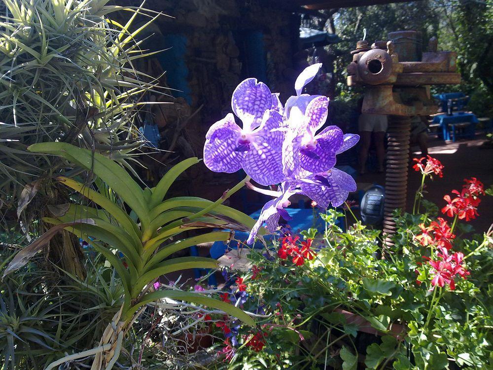 La Locanda Del Mare B&B La Caletta Luaran gambar